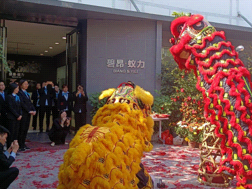 1675748836181333.gif 蚁力88.gif