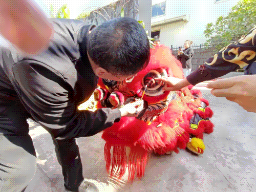 1675748893311236.gif 领导醒狮.gif